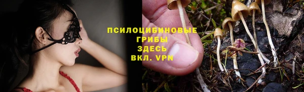 мет Алзамай