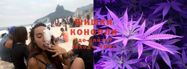 мяу мяу мука Абаза