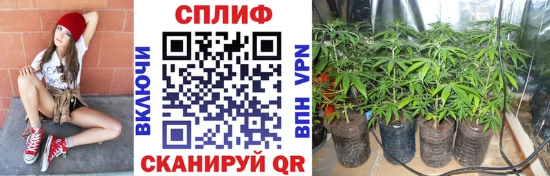Шишки марихуана сатива  купить наркотик  Новоуральск 